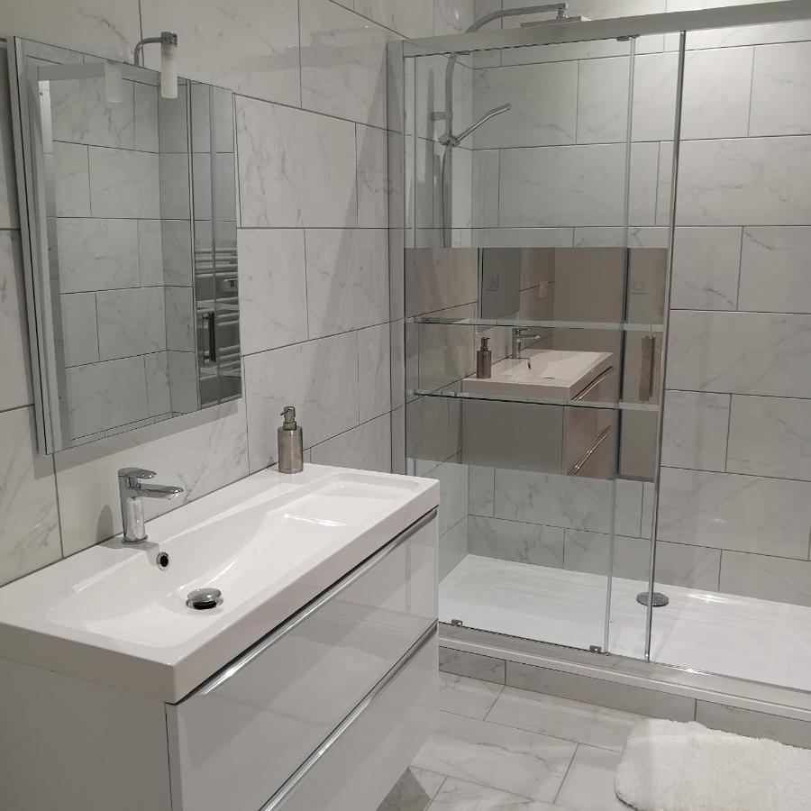 Suite Familiale Saint-Exupery-Spacieux-Hypercentre-Wifi-Velo 카스텔나우다리 외부 사진